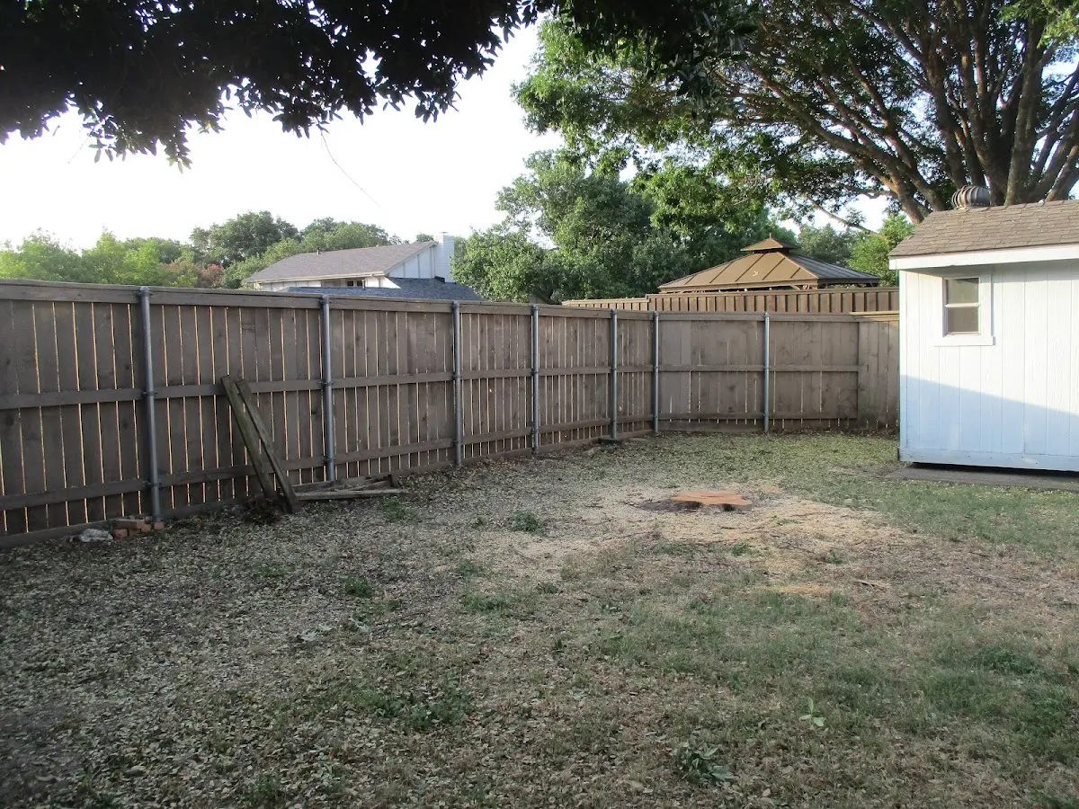 Cleared yard after professional tree removal in Church Hill