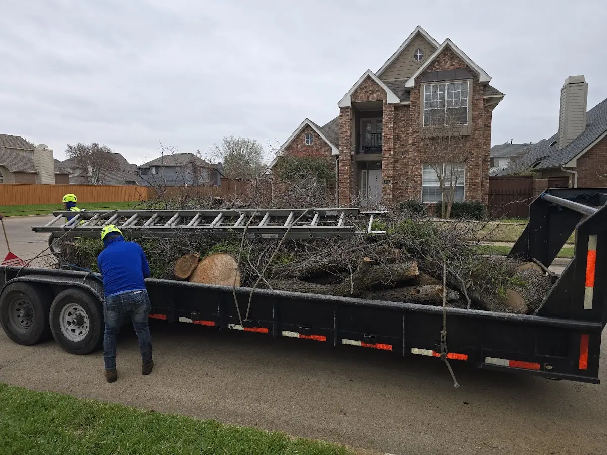 Expert Tree Removal with proper safety equipment in Church Hill